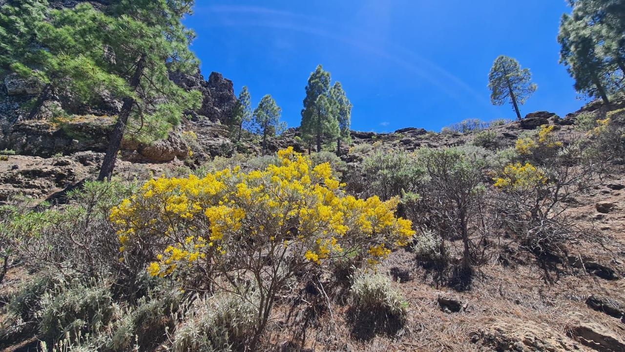 Puerto Rico Top Teide And Amadores View Extérieur photo