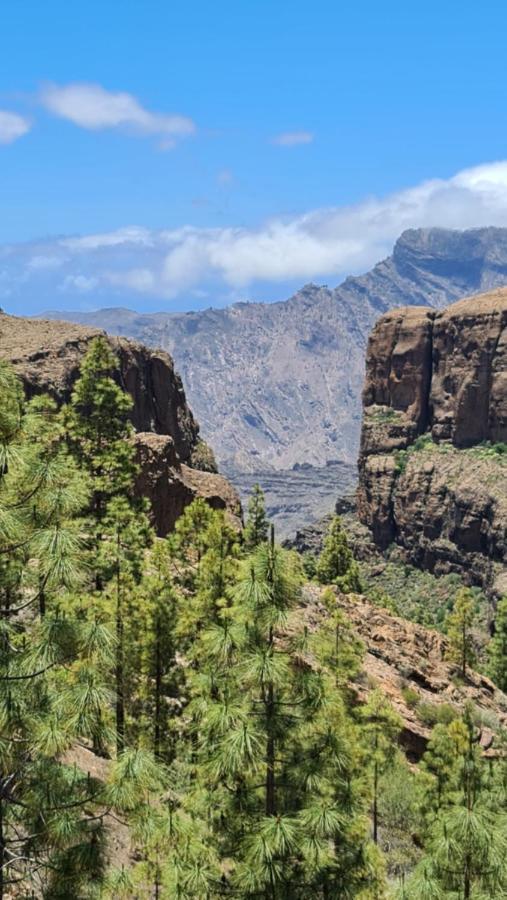 Puerto Rico Top Teide And Amadores View Extérieur photo